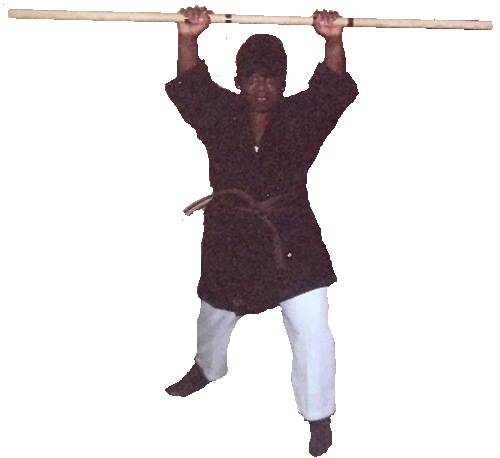 annie-bojutsu